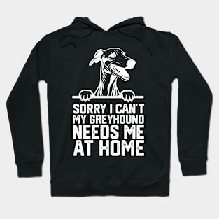 sorry i can't my Greyhound needs me at home Hoodie